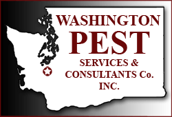 Olympia Pest Control Lacey Exterminators