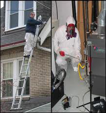 Pest Control Olympia Pest Control Olympia